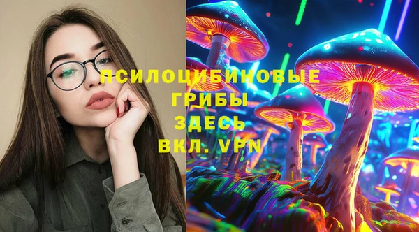 первитин Алексин