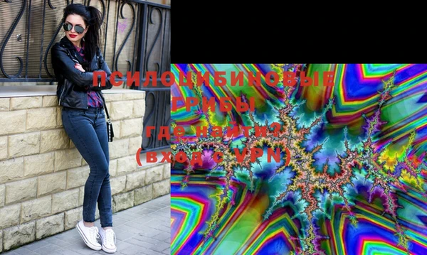 Альфа ПВП Абаза