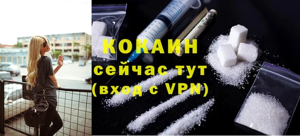 дживик Абинск