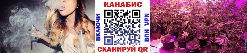 Бошки марихуана гибрид Зубцов